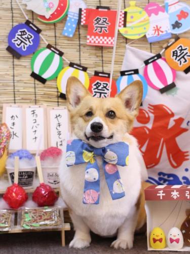 20240723はるちゃん